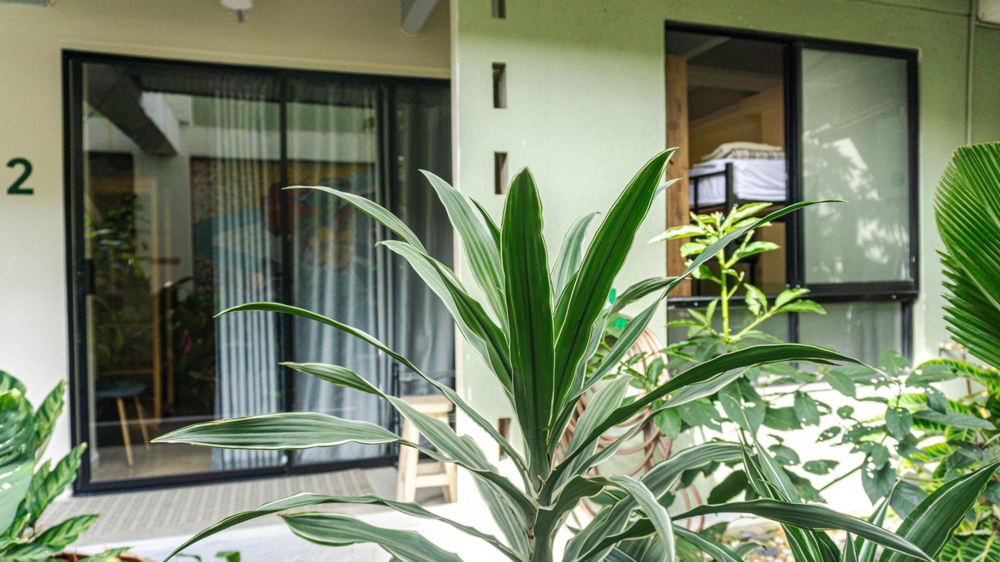 Selva House Bed and Breakfast Μεντεγίν Εξωτερικό φωτογραφία
