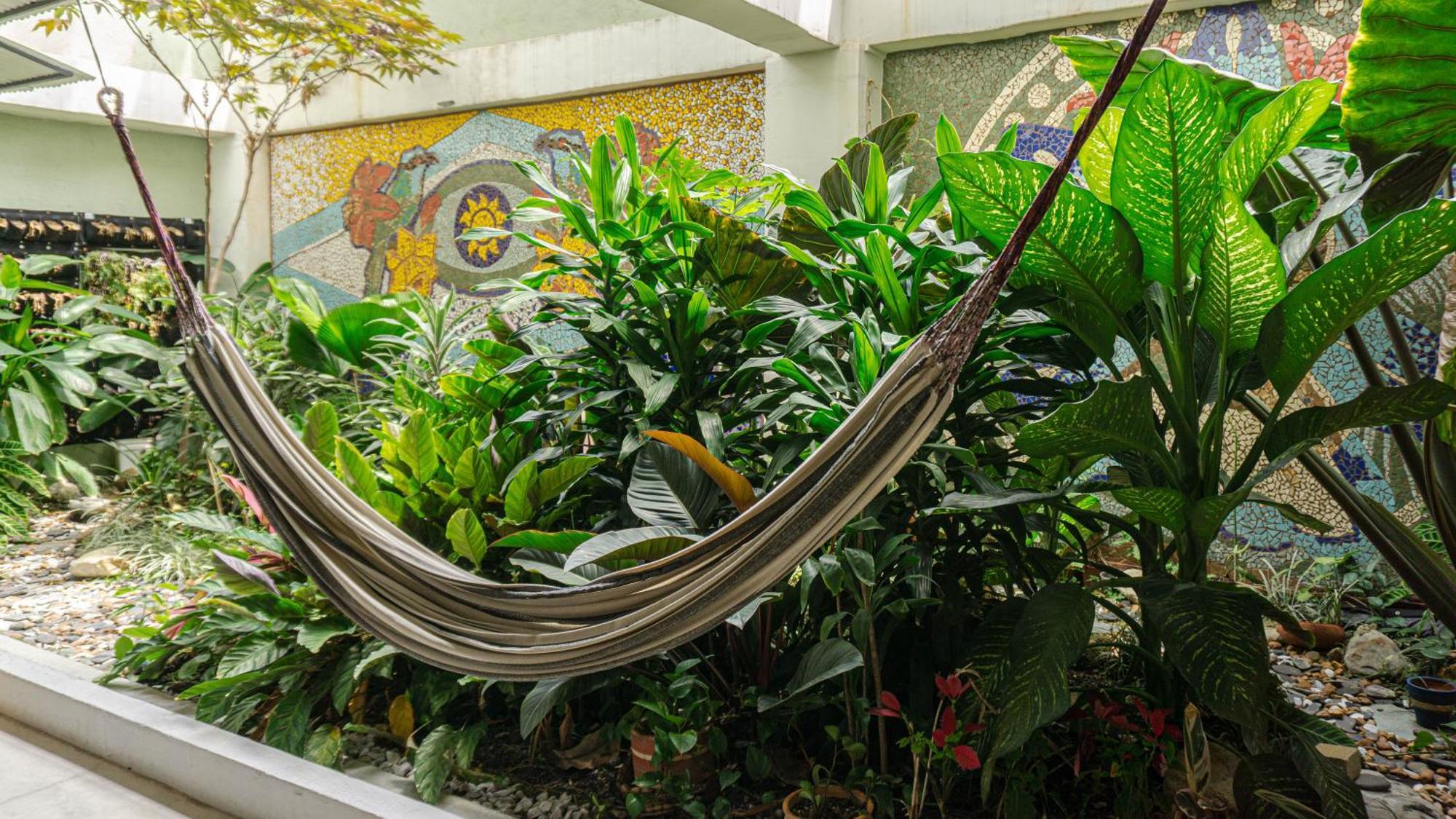 Selva House Bed and Breakfast Μεντεγίν Εξωτερικό φωτογραφία